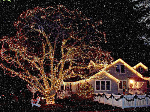 christmas-lights-in-snow-rick-todaro