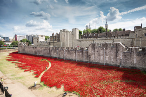 888246-ceramic-poppies-tower-of-london-remembrance-day-designboom-21